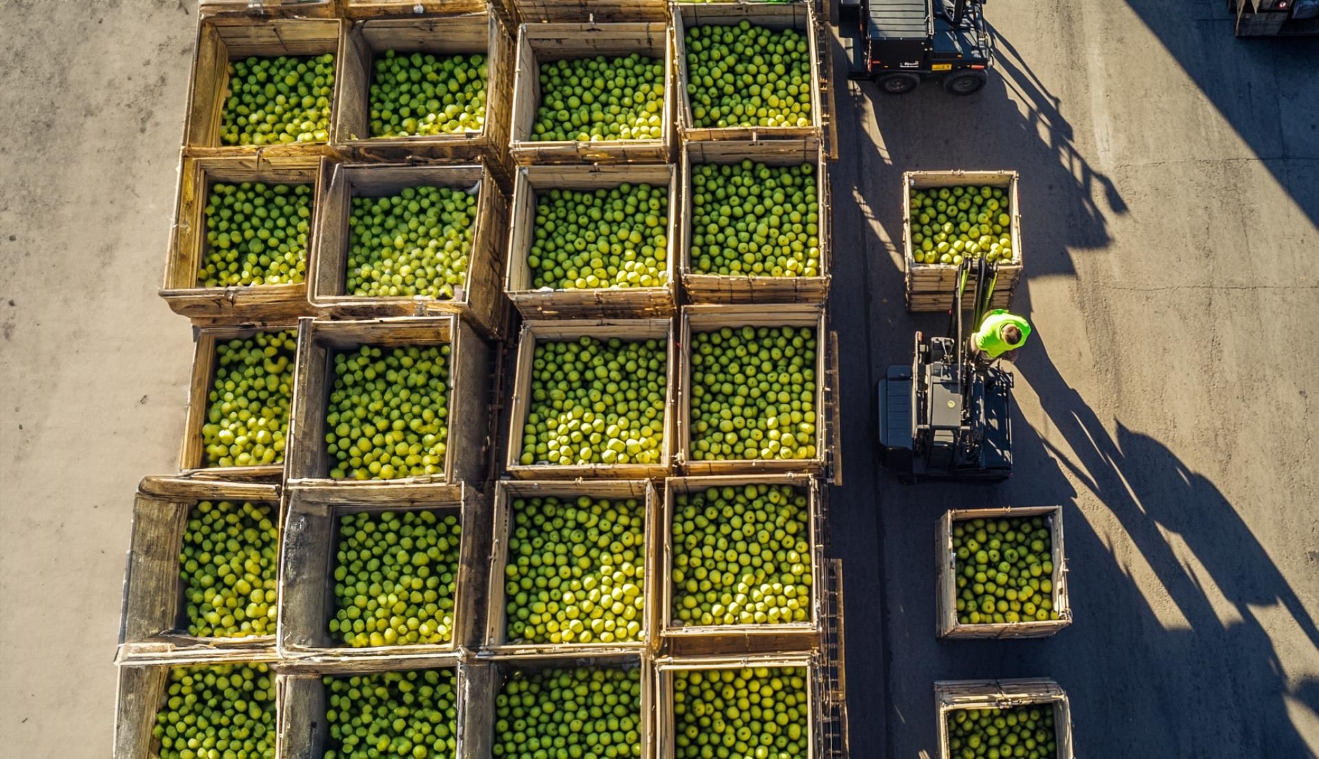 Dozen Vol Groene Appels Van Optiflux