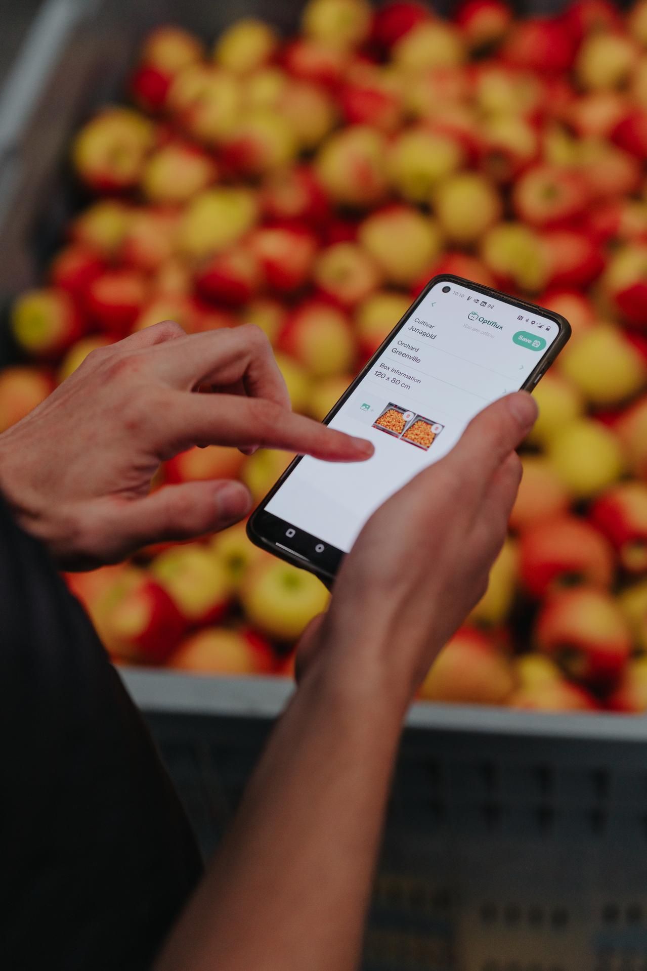 Fruitaanbod Beheer Optiflux