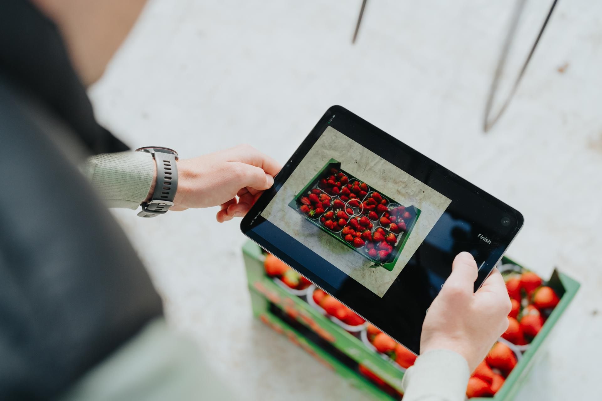 Ontvang Onmiddellijk Feedback Over Fruit Met De App Van Optiflux