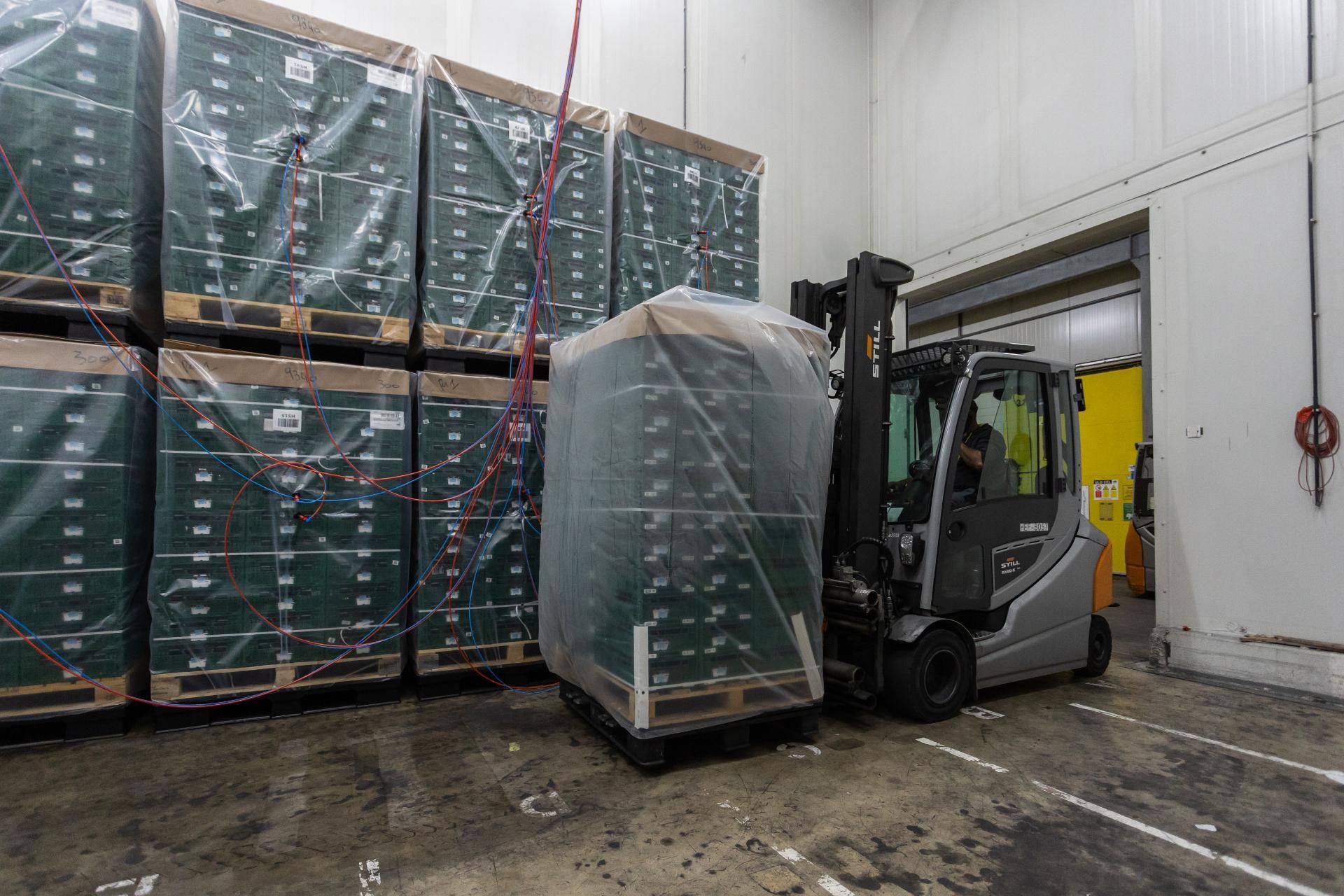Optipallet Tijdelijke En Flexibele Fruitopslag Per Pallet