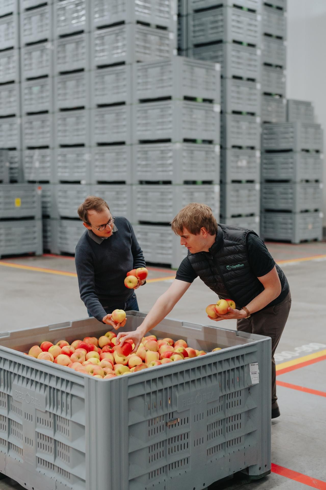 Fruitpallet Inzichten Optiflux