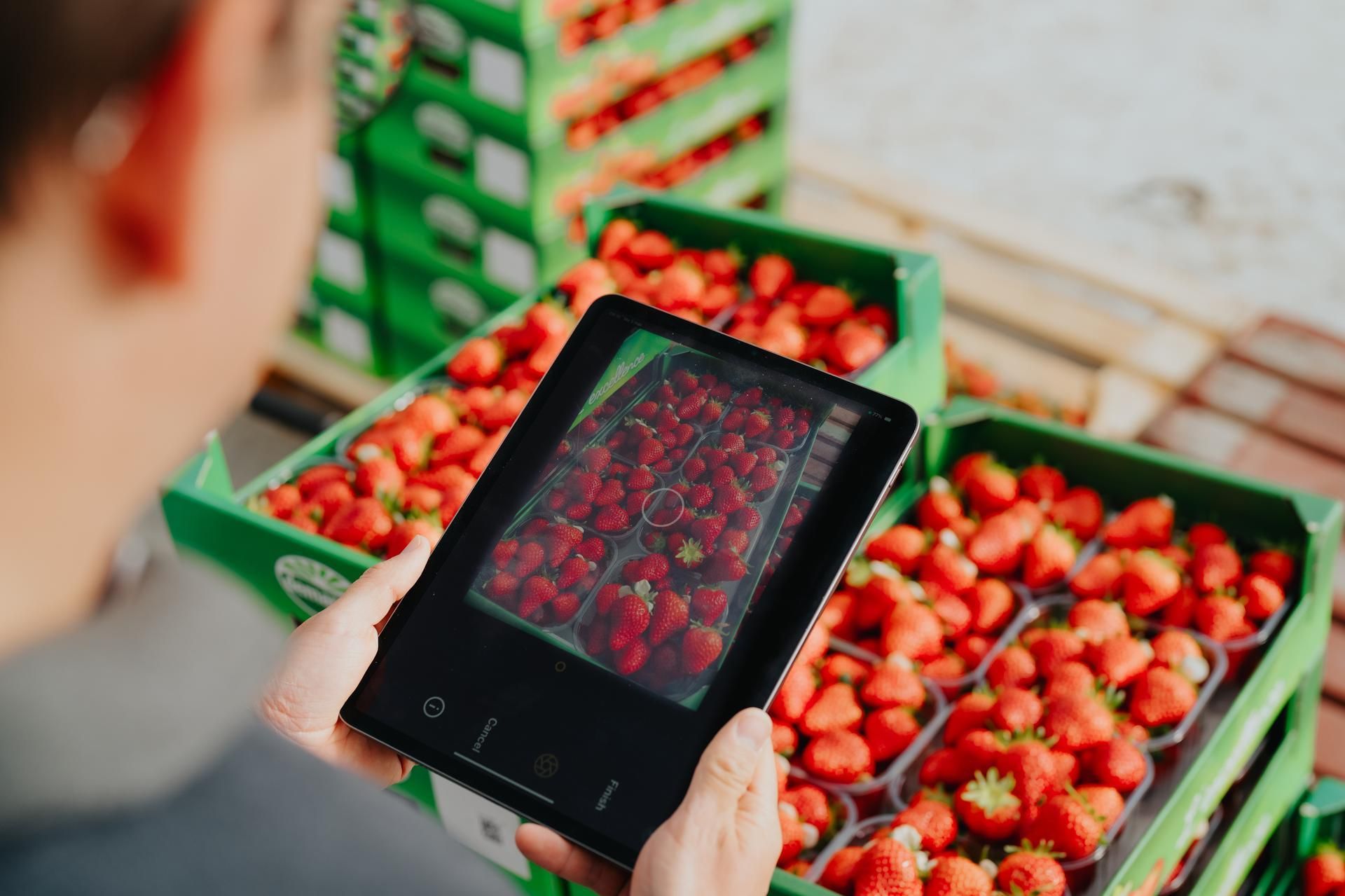 Fruit Bewaarketen Optiflux